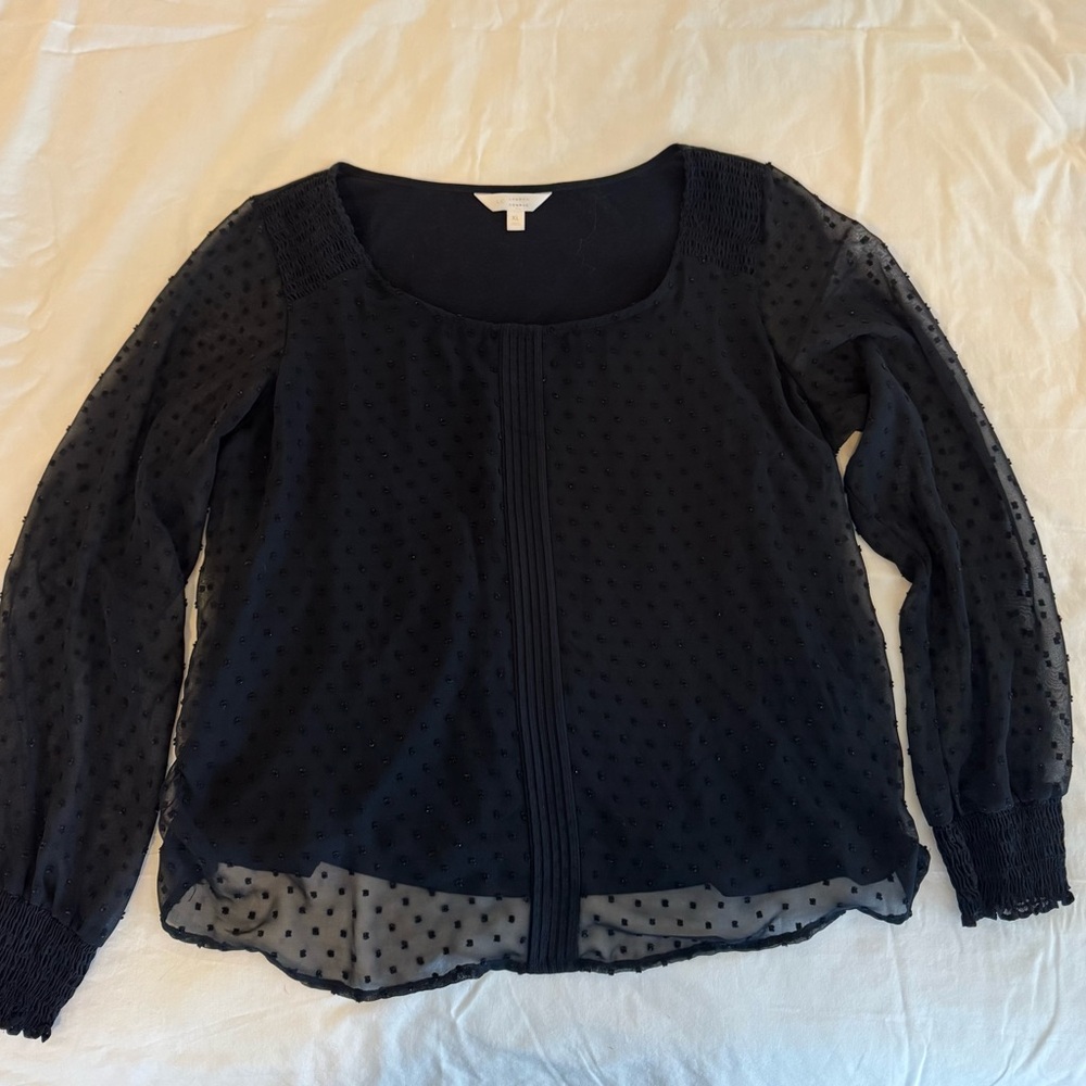 Elegant Navy Blue Sheer Women's Top